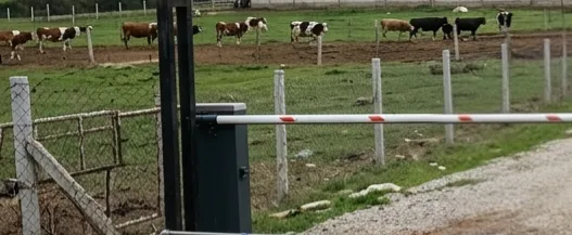 Akçadağ’da Şap Alarmı: Sultansuyu İşletmesi Karantinaya Alındı